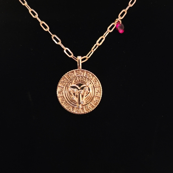 Jewelry - Gold Zodiac Pendant Necklace Capricorn #56